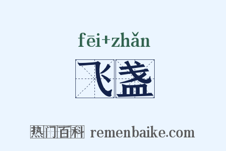 飞盏是什么意思的图片